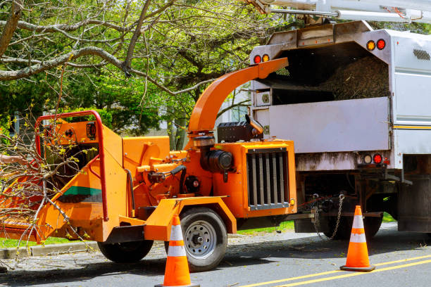 Tree Service Company in Fellsburg, PA